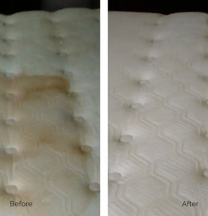 NY Steamers Carpet & Upholstery Cleaning - Upholstery Cleaning Services in New York - Before After Image