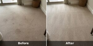 A side-by-side before and after photo shows a beige carpet with visible stains on the left and a cleaner area on the right.